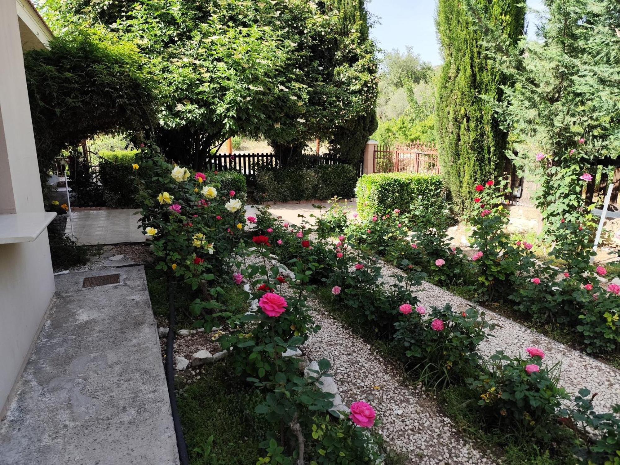 Roses *